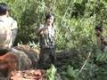 Watch a Special Report from Channel 4 News (rare timber's being plundered by China's illegal logging trade)