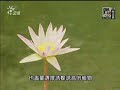 綠建築