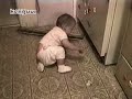 videos chistosos 2