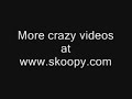 videos chistosos 2