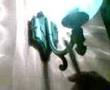 videos de drogato bronzola se fuma canoni