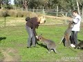 Im Zoo
