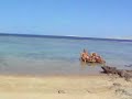 tamra-beach-resort-sharm-el-sheikh.html