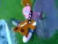 Michi riding