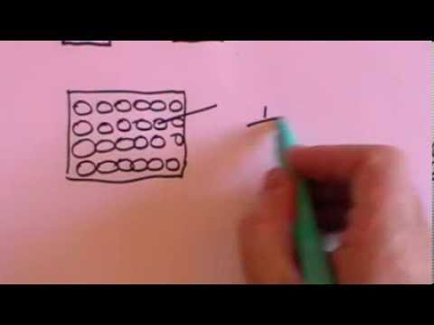 how to calculate half life