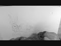 How to draw Bugs Bunny