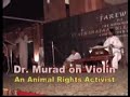 Dr. Murad Khan is playing violin in the Farewell Function in the honor of Lt Gen Shafaat Ullah Shah, founder CMH Lahore Medical College Pakistan. Playing a Pakistani film (Koel) song tune rim jim rim jim parray fawar tera mera nit da pyar, music directo was khawaja Khurshid anwar and was sung by Noor Jehan. Dr Murad is a medical graduate and t eaches biochemistry to medical students. He is a biomedical software developer. He is an animal rights activist and a vegetarian on moral basis....