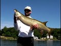 Fisherman\ Fisherman\
