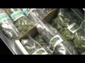 Travis Porter Weedisode - Weed Chronicals