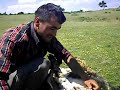 NİKSAR GÖKÇELİ YAYLASI