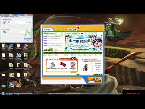 maplestory v 48 pin cracker