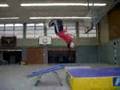 school-gymnastics-fl