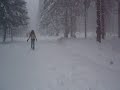 Alima in the snow