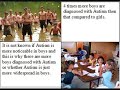 Autism and Aspergers Awareness