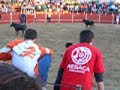 Encierros de Oropesa (Toledo) 2005