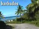 Big Bad Brabados