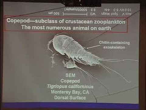how to control environmental degradation
