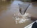 Pescando Piraputanga no Rio Aquidauana