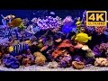Aquarium Screensaver For Samsung Smart Tv