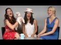 Patriotic Party Planning for your 4th of July Patriotic Party Planning for your 4th of July