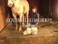 equine leg work™ poultice demo