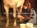 EQUINE LEG WORK?, Poultice Demo EQUINE LEG WORK?, Poultice Demo