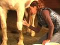 EQUINE LEG WORK™, Poultice Demo
