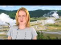 Sarah Palin & Plastic Trees | ZapRoot