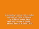 LOST perruche