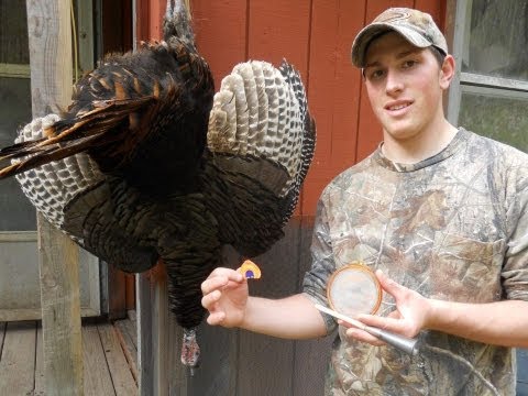 how to locate turkey roost