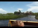 Everglades fanboat ride