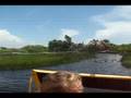 Everglades fanboat ride