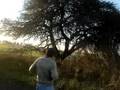 En plena caceria 2