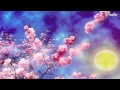 Lidon Jose Streicher für Horn Allegro / Best of Klassik / Klassische Musik / Classical Music /