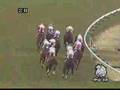 新馬動画11
