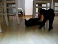 Ronja und Findus II