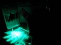 BRACCIALETTI LUMINOSI_VERDI-----www.glowdiscount.com