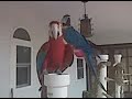 Click here to watch this video rico and rita.3GP