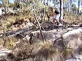 Ride 4 Fun (MTB) Ride 4 Fun (MTB)