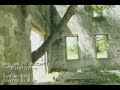 Swallowtail Butterfly ??????? Yentown Band?Covered By Miko