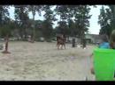 HHS AKF 8.22.2007 Texas 2'6