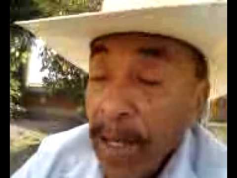 culitos
