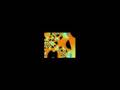 Fractalvideo