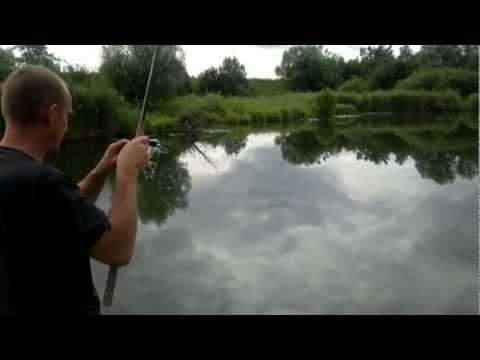 sum 120 cm zlowiony na drgajacą szczytówke 2012