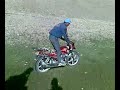 Karakul