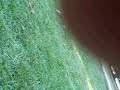 Oct 04 2008 - VID00009
