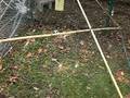 Hawk proof roof for backyard chicken run