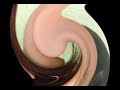 sex-morphing-cute-into-sexy.html