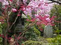Kokia - Arigato
