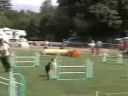 Nova Advanced Jumpers 8/9/08